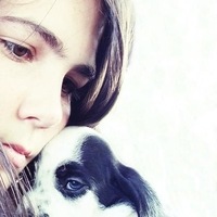 CC0 Public Domain via Pixabay